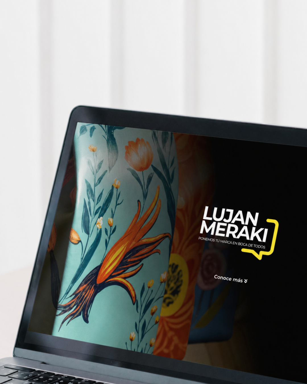 Página web Lujan Meraki