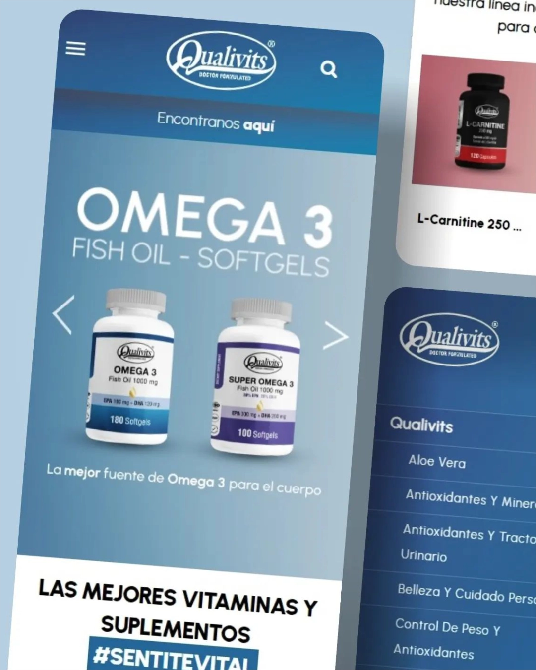 Web institucional con catálogo de productos