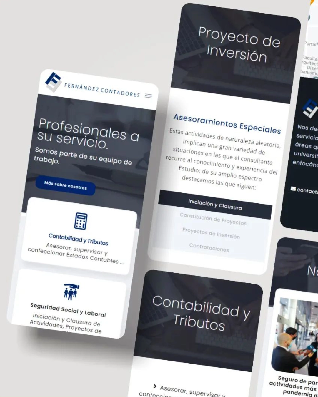 Web institucional